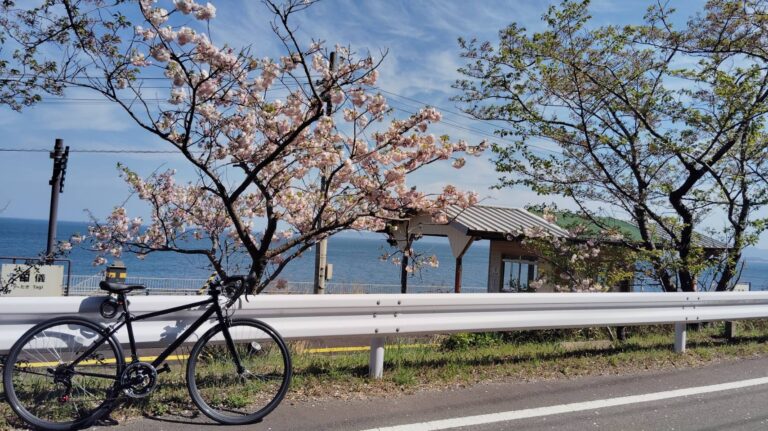 投稿サムネイル